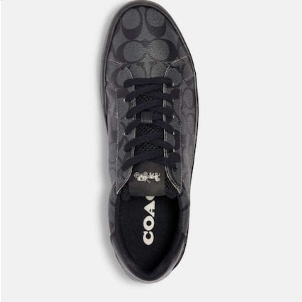 Clip Low Top Sneaker Signature coated canvas upper
Fabric lining and footbed - Picture 3 of 6